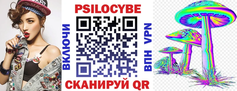 Купить закладки  Шадринск  Галлюциногенные грибы Magic Shrooms 